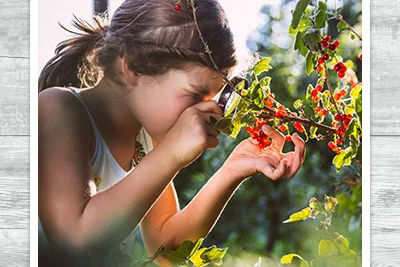 Kind betrachtet Beeren mit Lupe